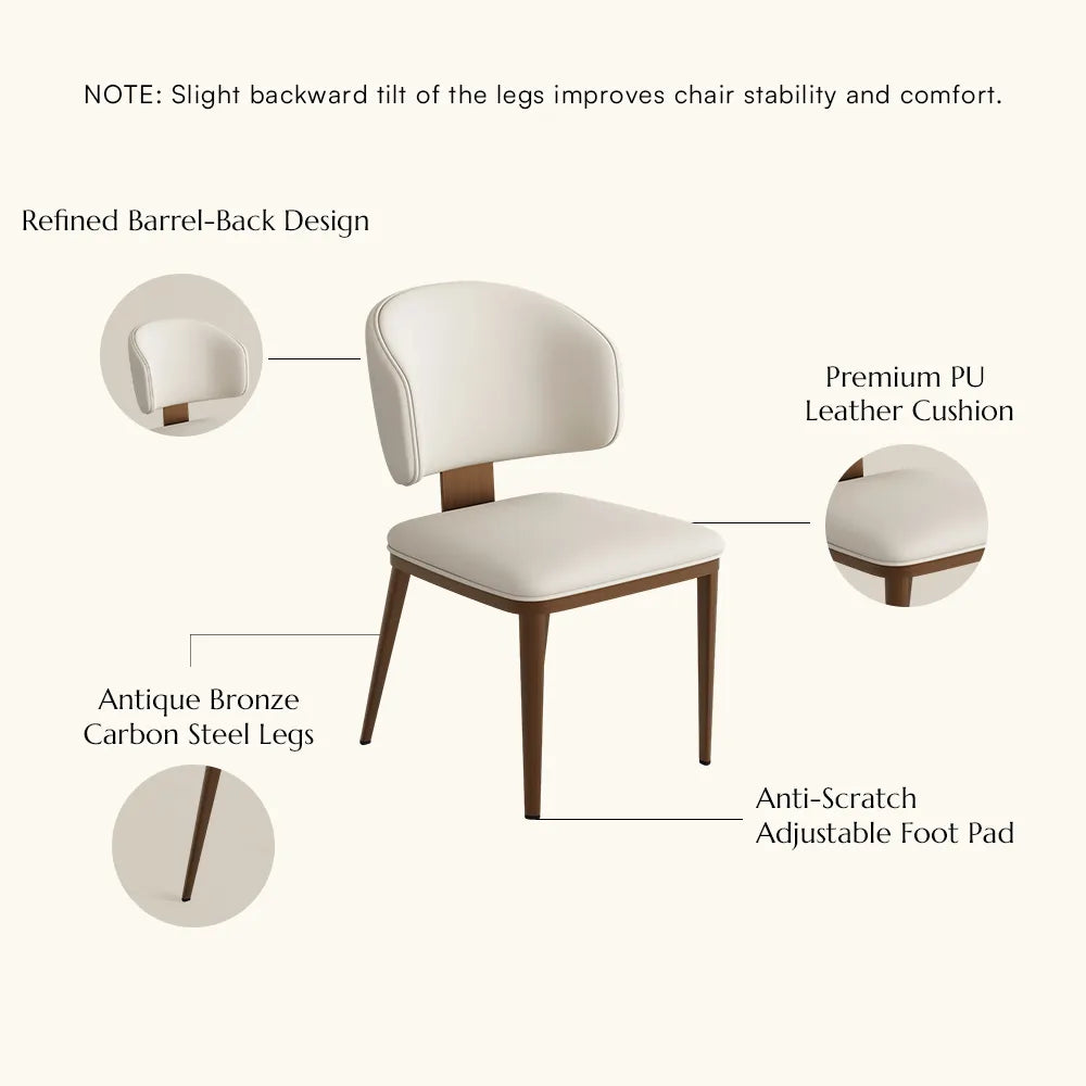 Aurelia-Modern Upholstered Dining Chairs Set of 2