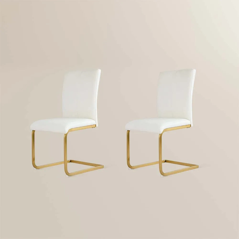 Modern Luxury Leather Dining Chairs Set of 2