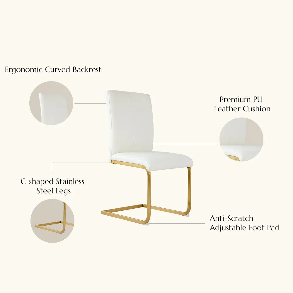 Modern Luxury Leather Dining Chairs Set of 2