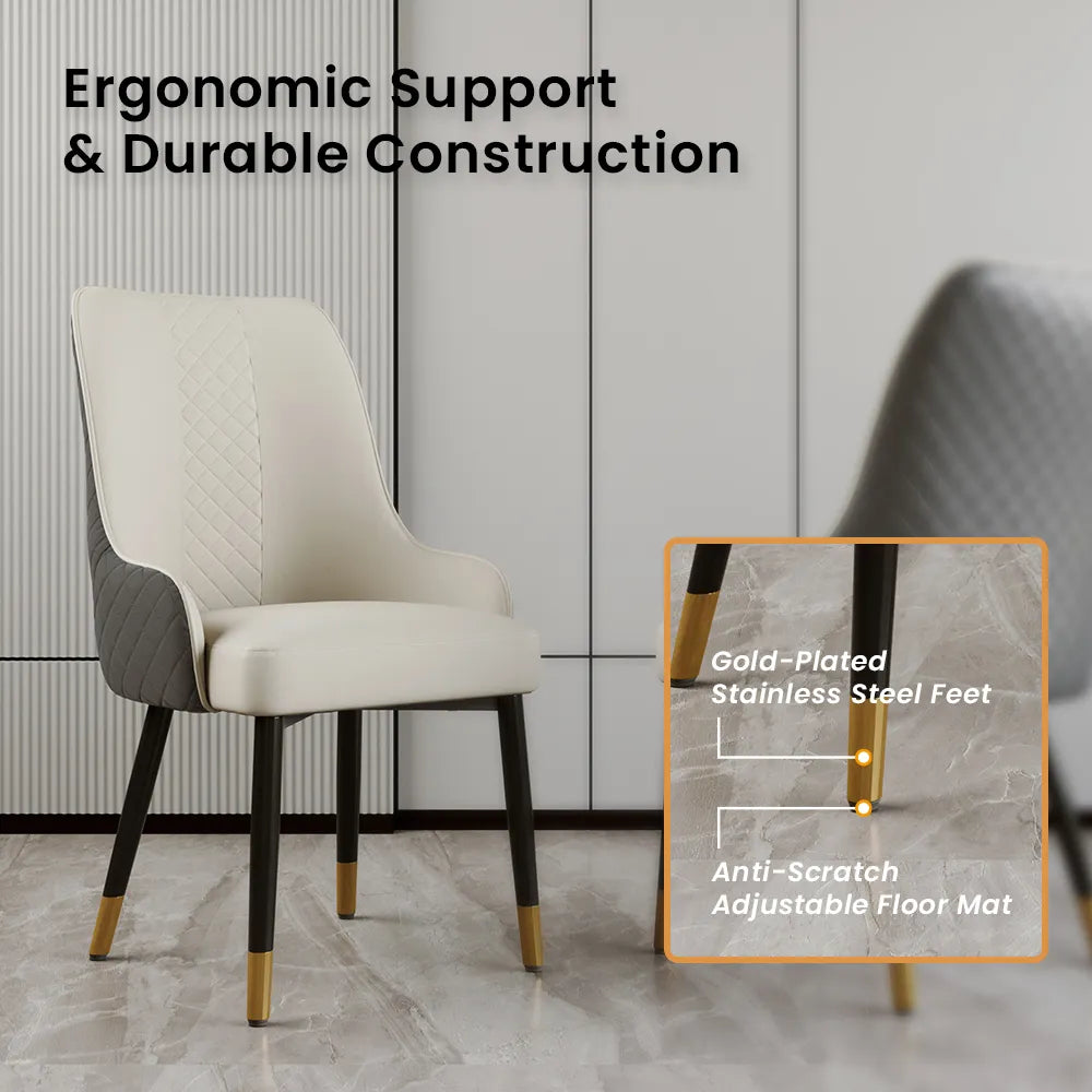 Modern Upholstered Dining Chairs Set of 2