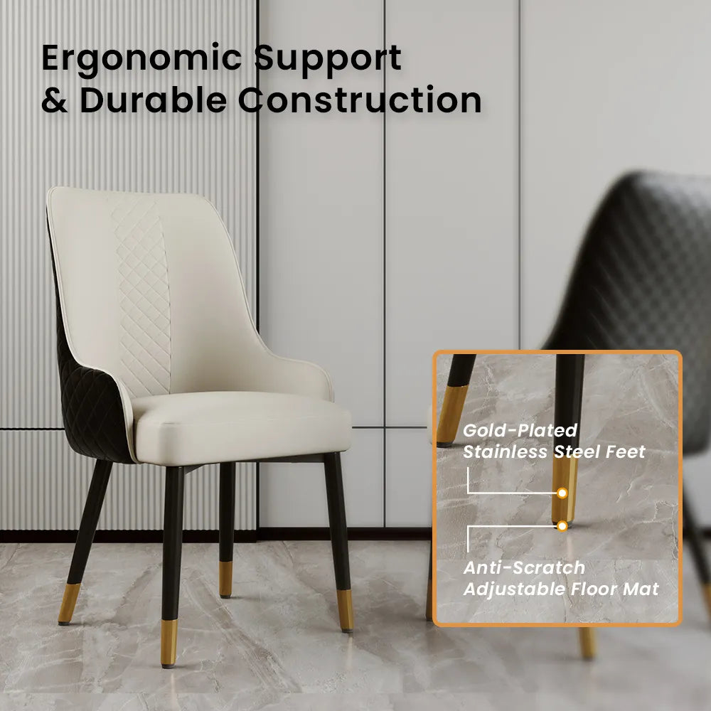 Modern Upholstered Dining Chairs Set of 2