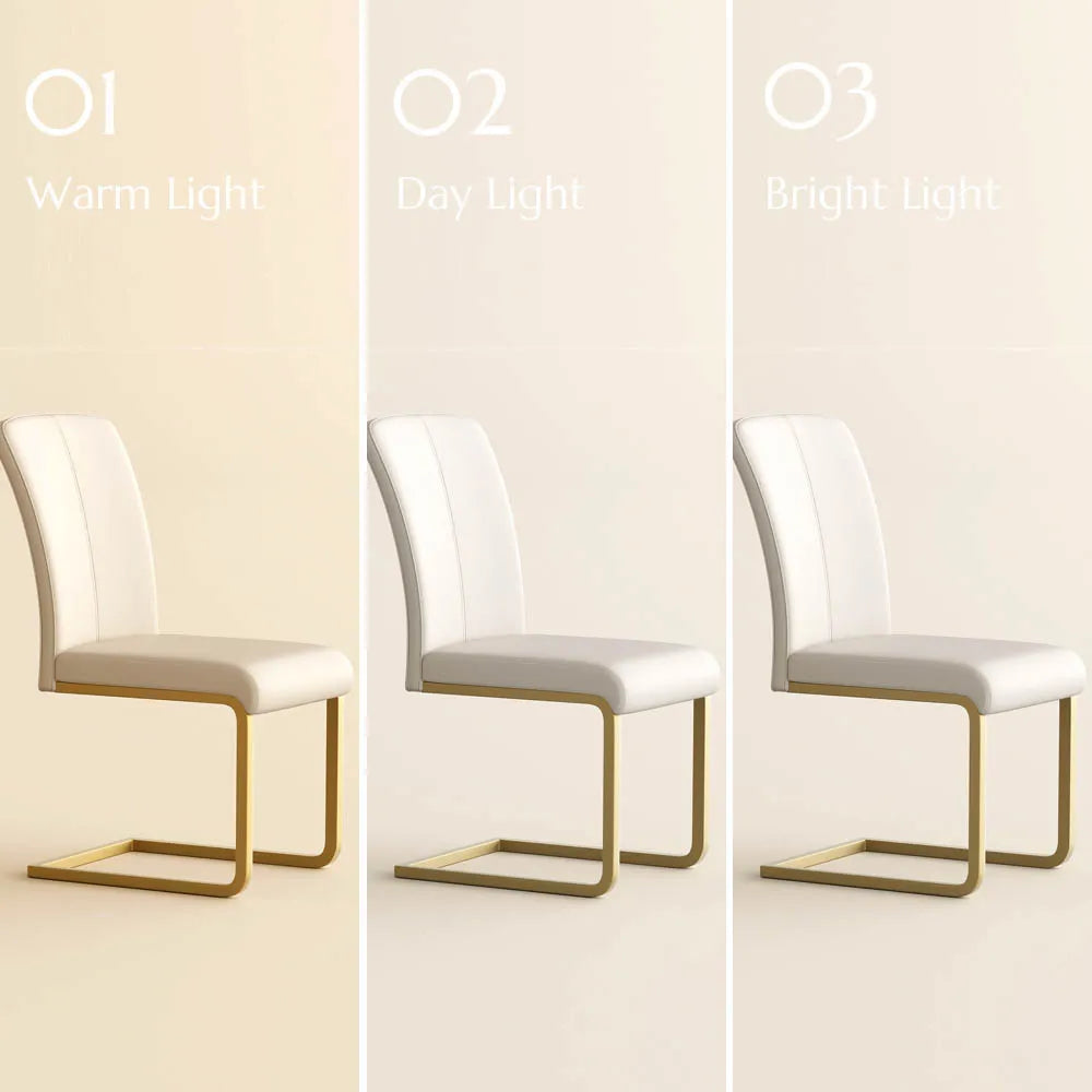 Modern Luxury Leather Dining Chairs Set of 2