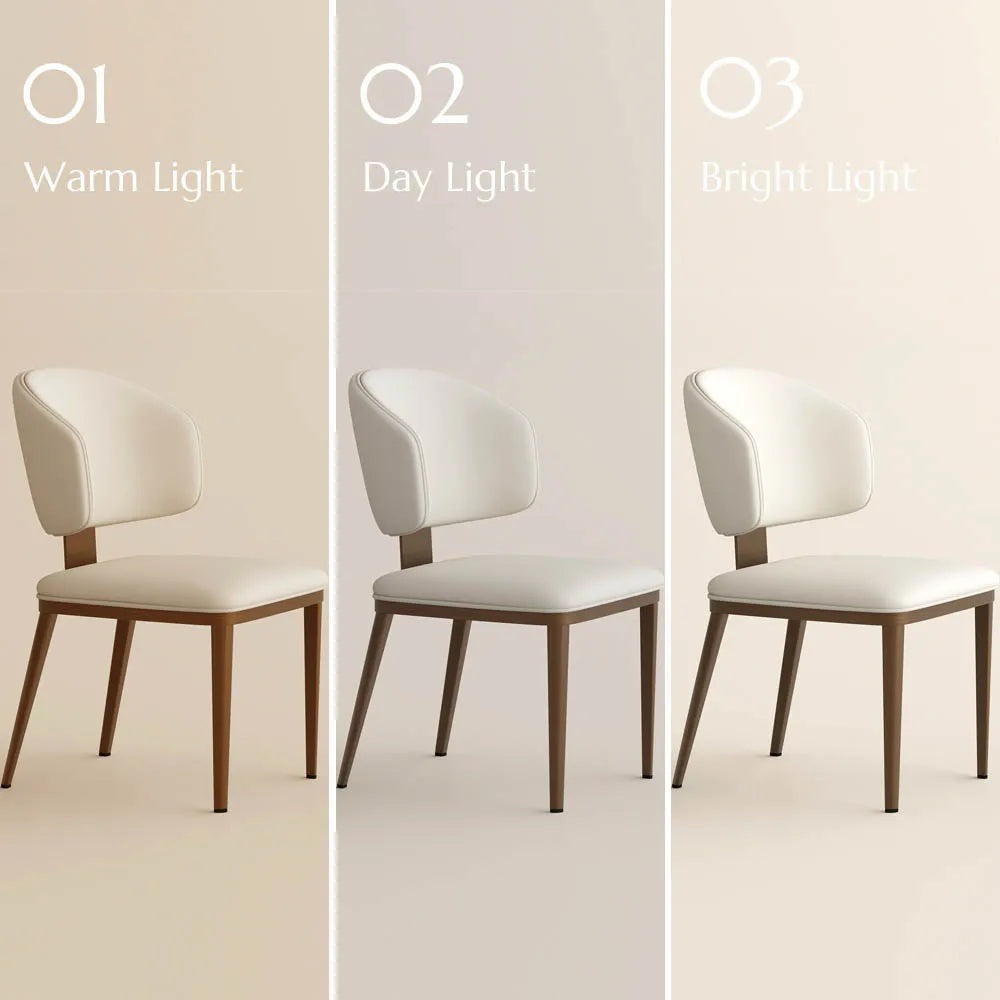 Aurelia-Modern Upholstered Dining Chairs Set of 2