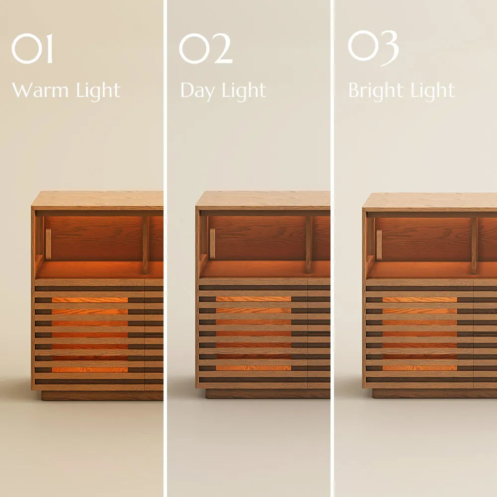 Selene-55'' LED Horizontal Slatted Storage Cabinet