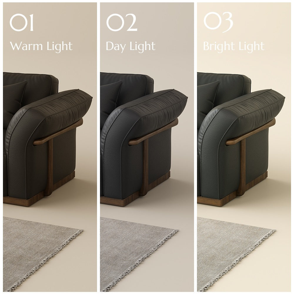 Black leather colour shown in warm, day and bright light