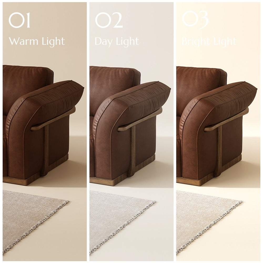 Dark Brown leather colour shown in warm, day and bright light
